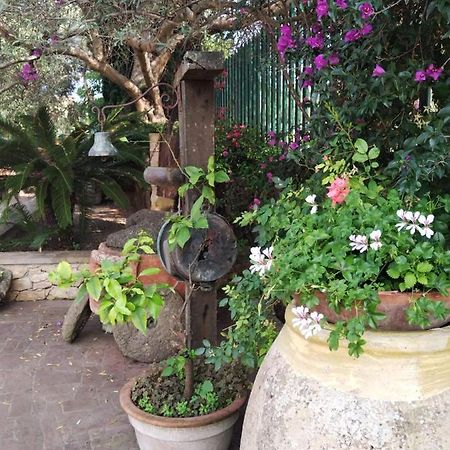 Il Casale Del Cortonese Apartman Sassari Kültér fotó